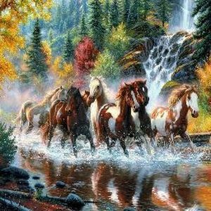 Meet your Posher, Hung